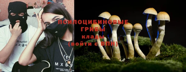 сатива Абинск