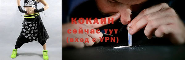 сатива Абинск