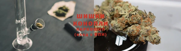 сатива Абинск