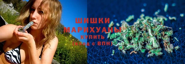 сатива Абинск