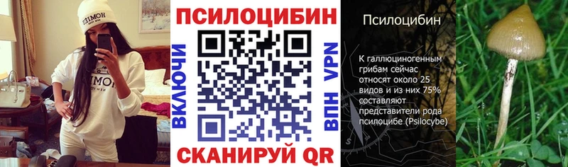 Псилоцибиновые грибы Psilocybe  цена   Симферополь 